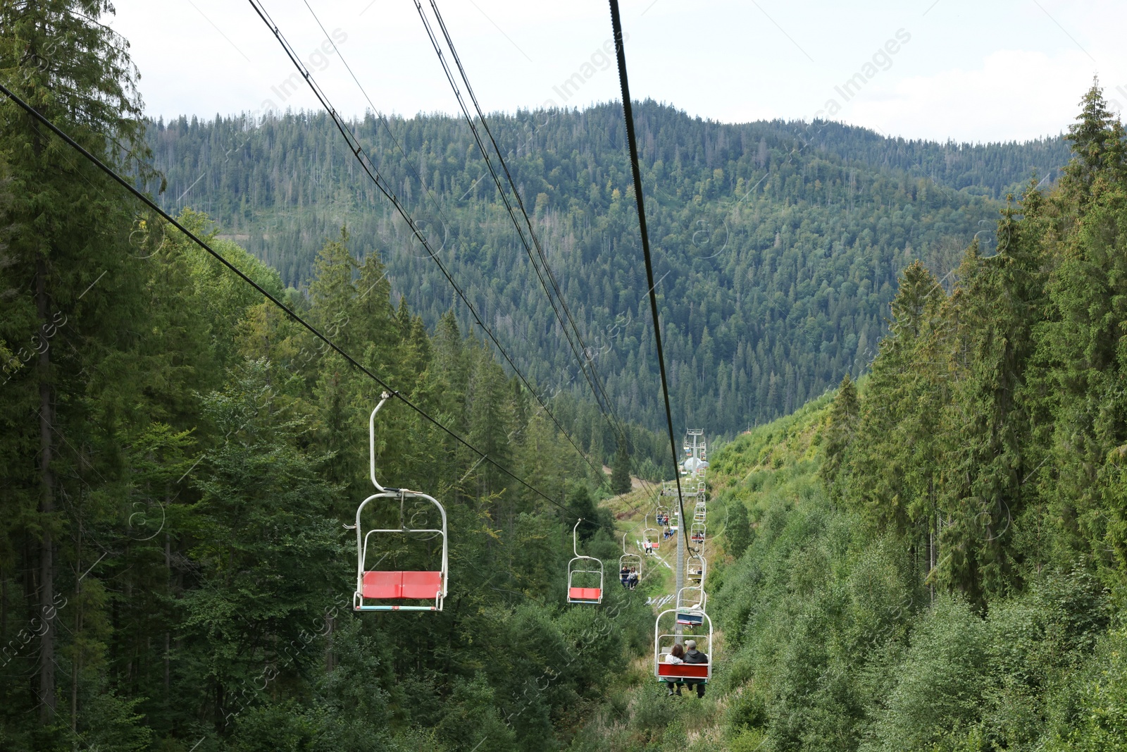 Photo of Ski lift and green trees at mountain resort