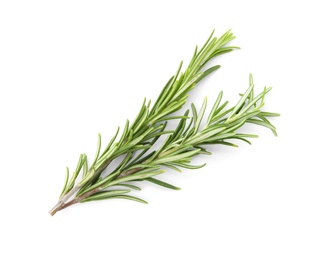 Photo of Fresh green rosemary twigs on white background, top view