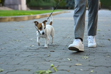 Photo of Man with adorable Jack Russell Terrier on city street, closeup. Dog walking