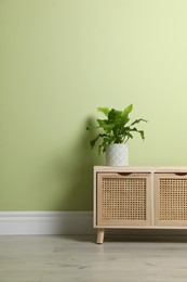 Photo of Beautiful houseplant on wooden chest of drawers near light green wall indoors. Space for text