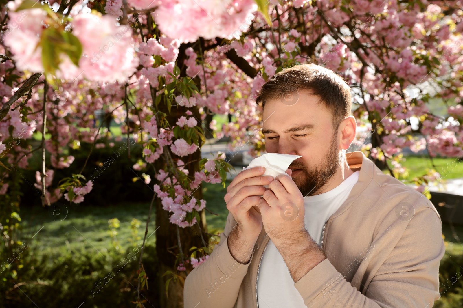 Photo of Man suffering from seasonal pollen allergy near blossoming tree outdoors