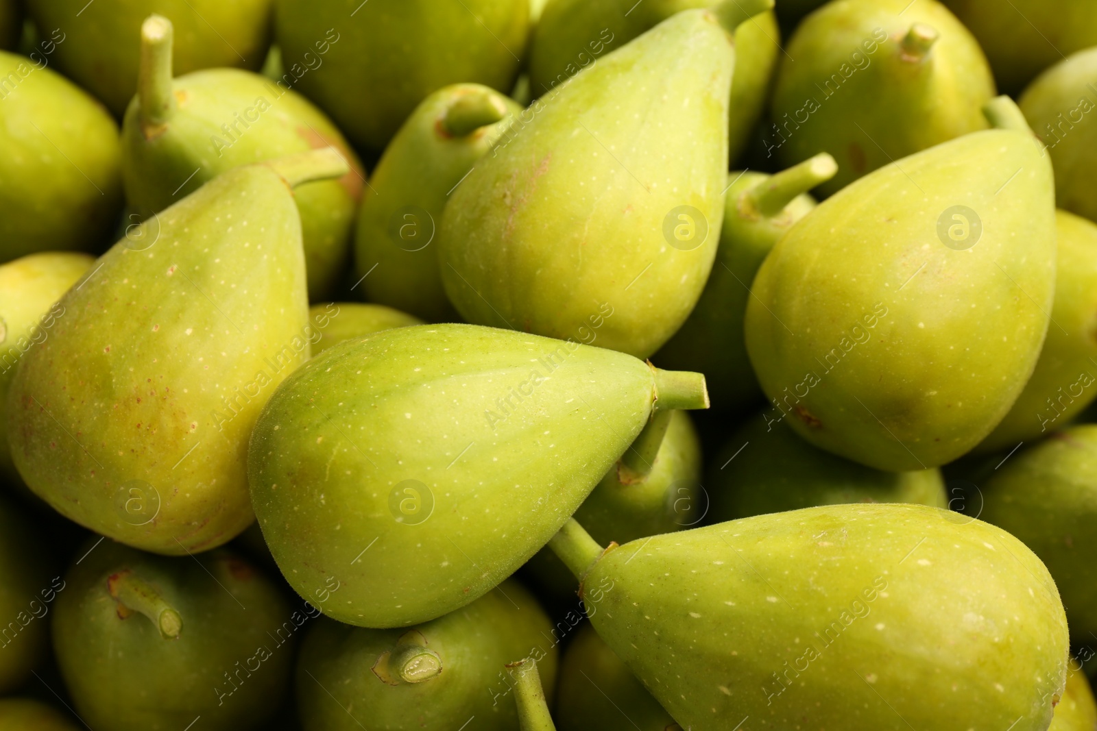 Photo of Many fresh green figs as background, closeup