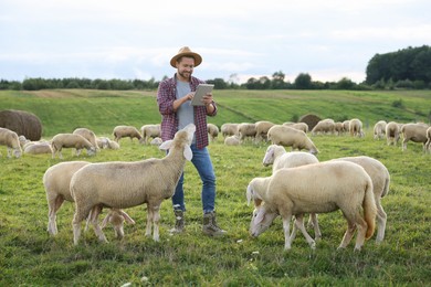 Photo of Smiling man with tablet surrounded by sheep on pasture at farm