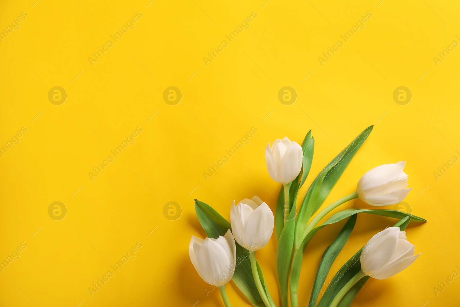 Photo of Many beautiful tulips on yellow background, flat lay. Space for text