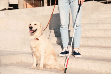 Guide dog helping blind person with long cane going down stairs outdoors