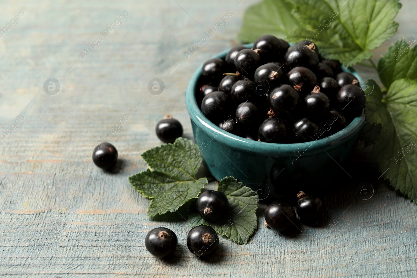 Photo of Ripe blackcurrants and leaves on wooden rustic table. Space for text