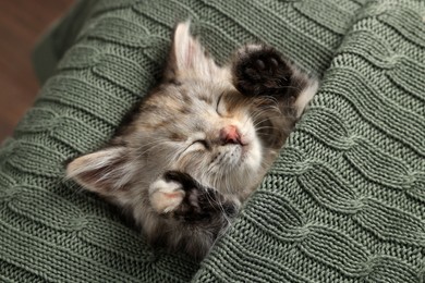 Photo of Cute kitten sleeping in knitted blanket. Baby animal