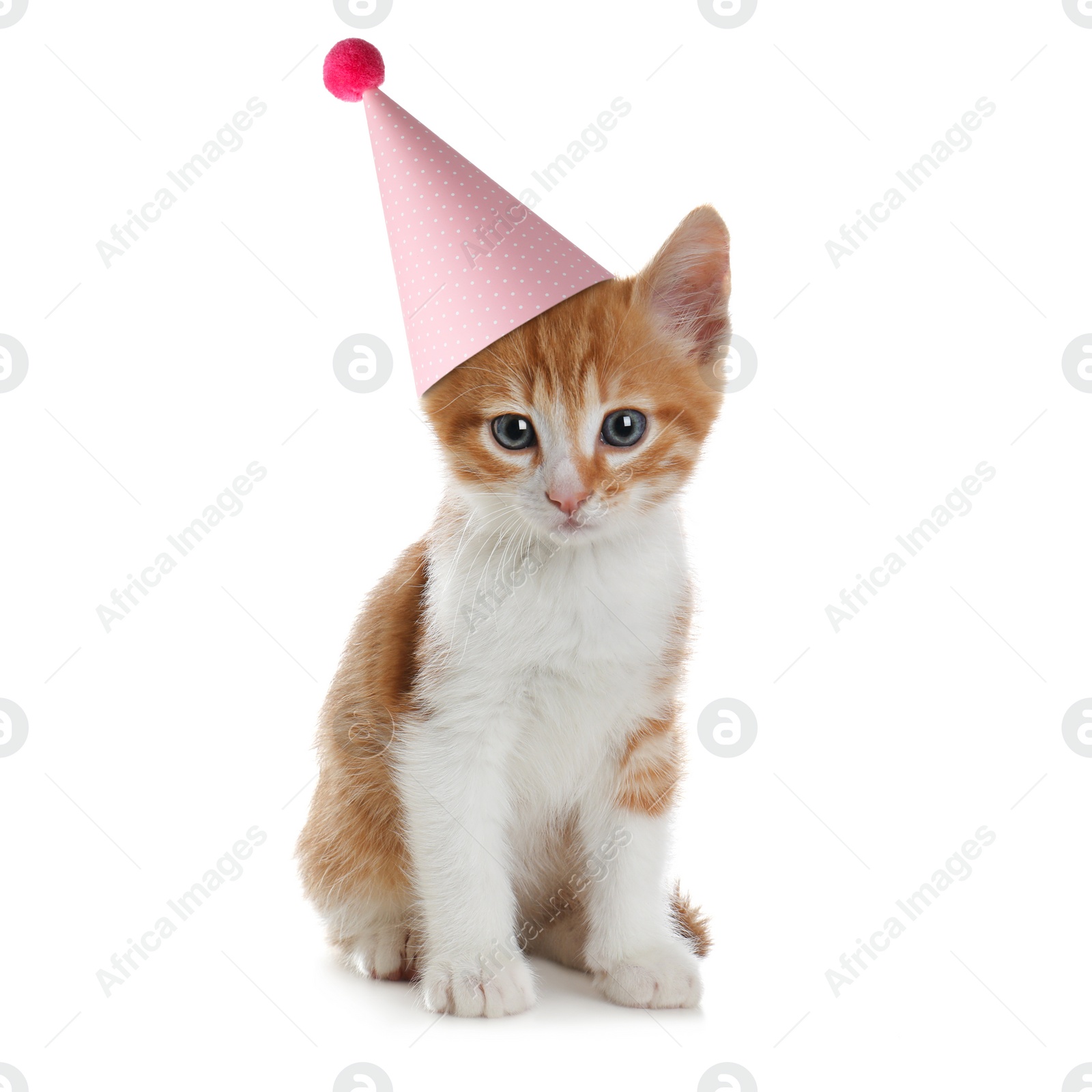 Image of Cute little kitten with party hat on white background