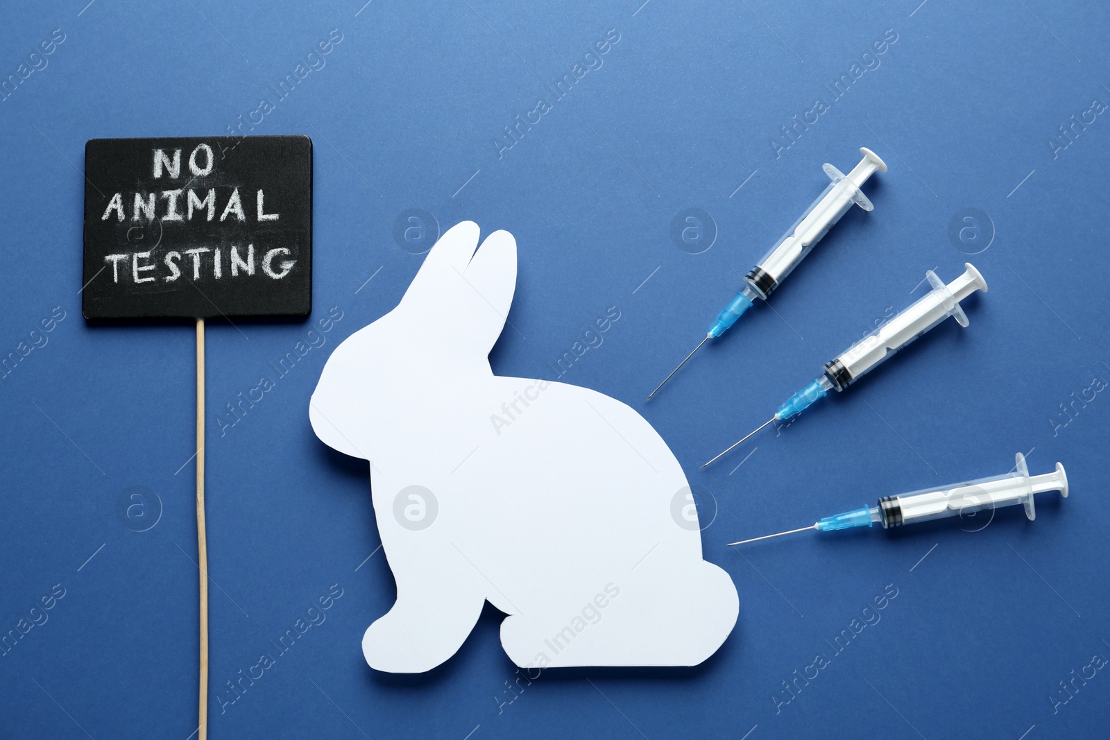 Photo of Signboard with text No Animal Testing, figure of rabbit and syringes on blue background, flat lay