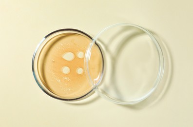 Photo of Petri dish with color liquid and lid on beige background, flat lay