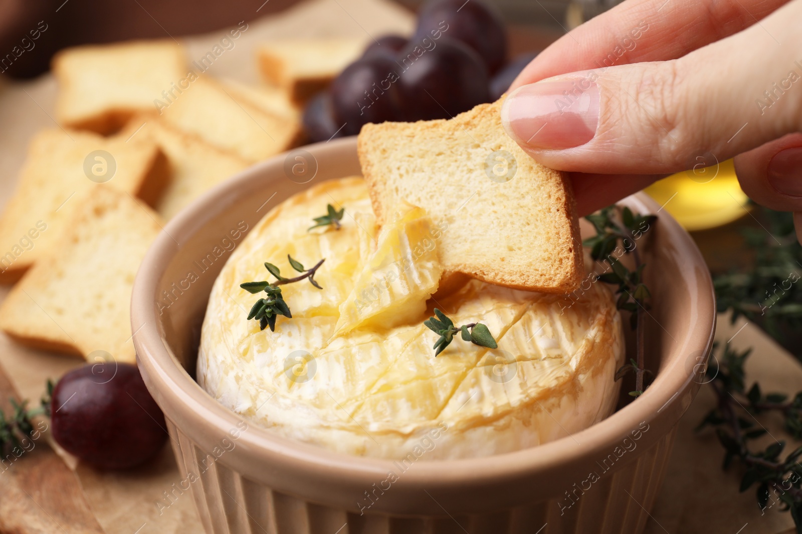 Photo of Woman dipping crouton into tasty baked camembert on table, closeup