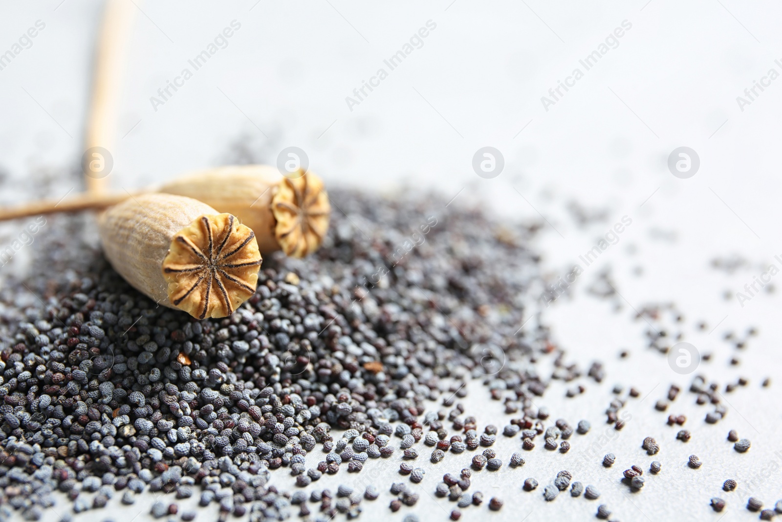 Photo of Dry poppy heads and seeds on grey background, closeup