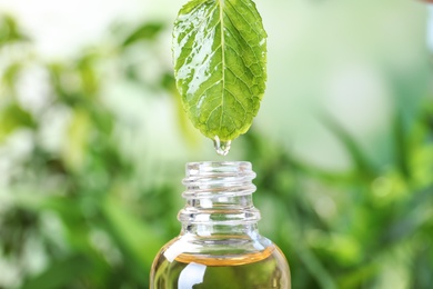 Essential oil dripping from mint leaf into glass bottle on blurred background, closeup