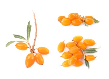 Image of Set with fresh ripe sea buckthorn berries on white background 