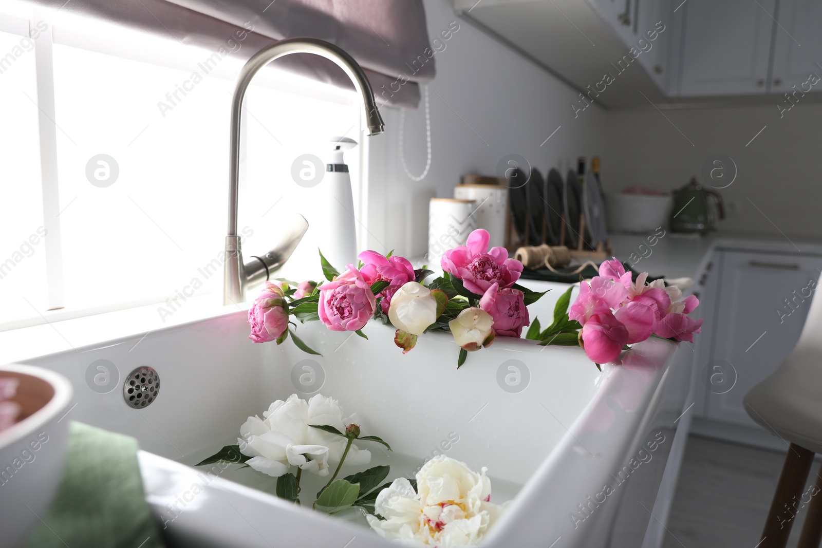 Photo of Bunch of beautiful peonies in kitchen sink