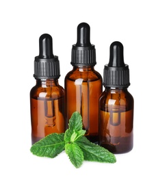 Different bottles of essential oils and mint on white background