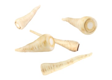 Image of Raw parsnip roots falling on white background