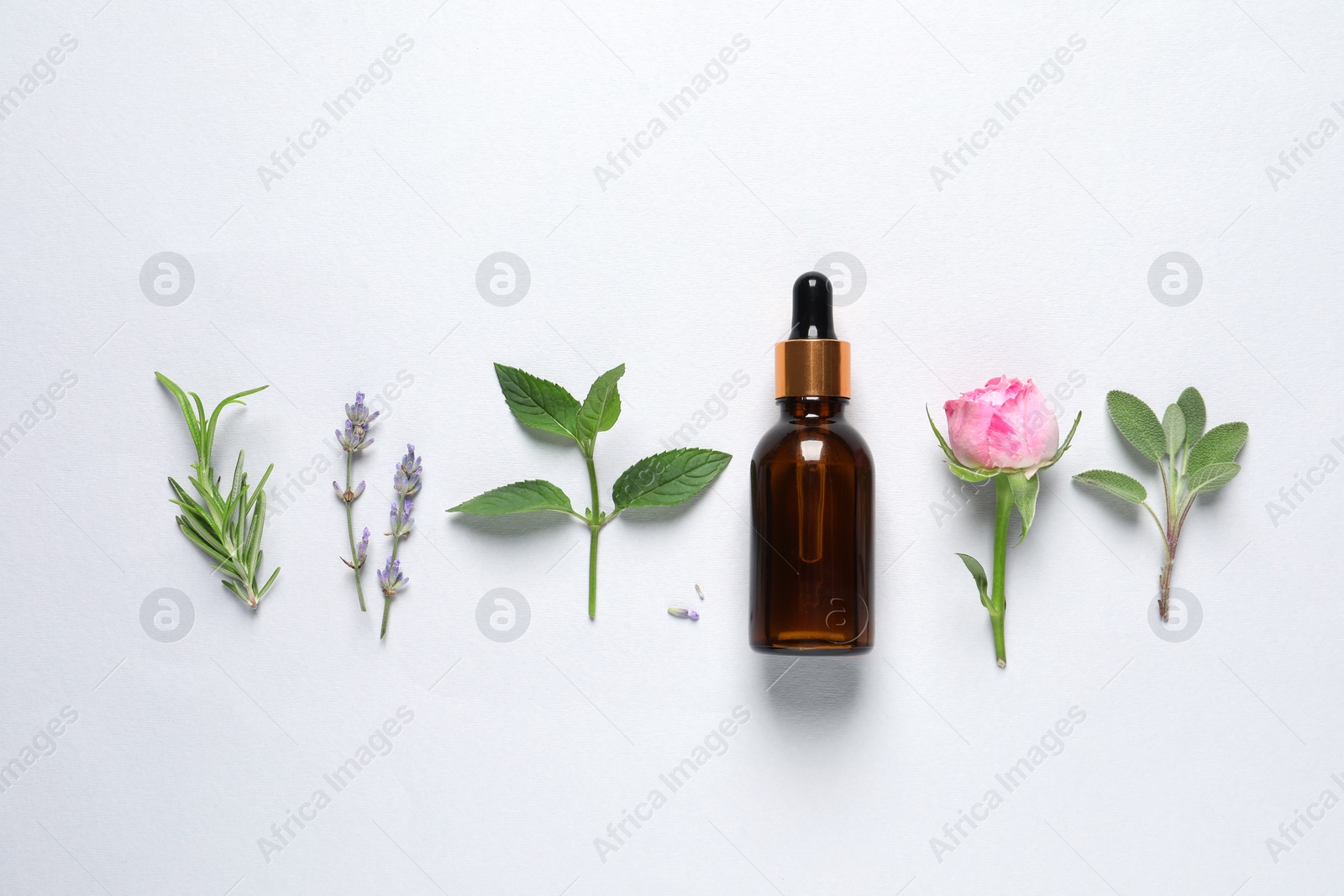 Photo of Bottle of essential oil, different herbs and flowers on white background, flat lay