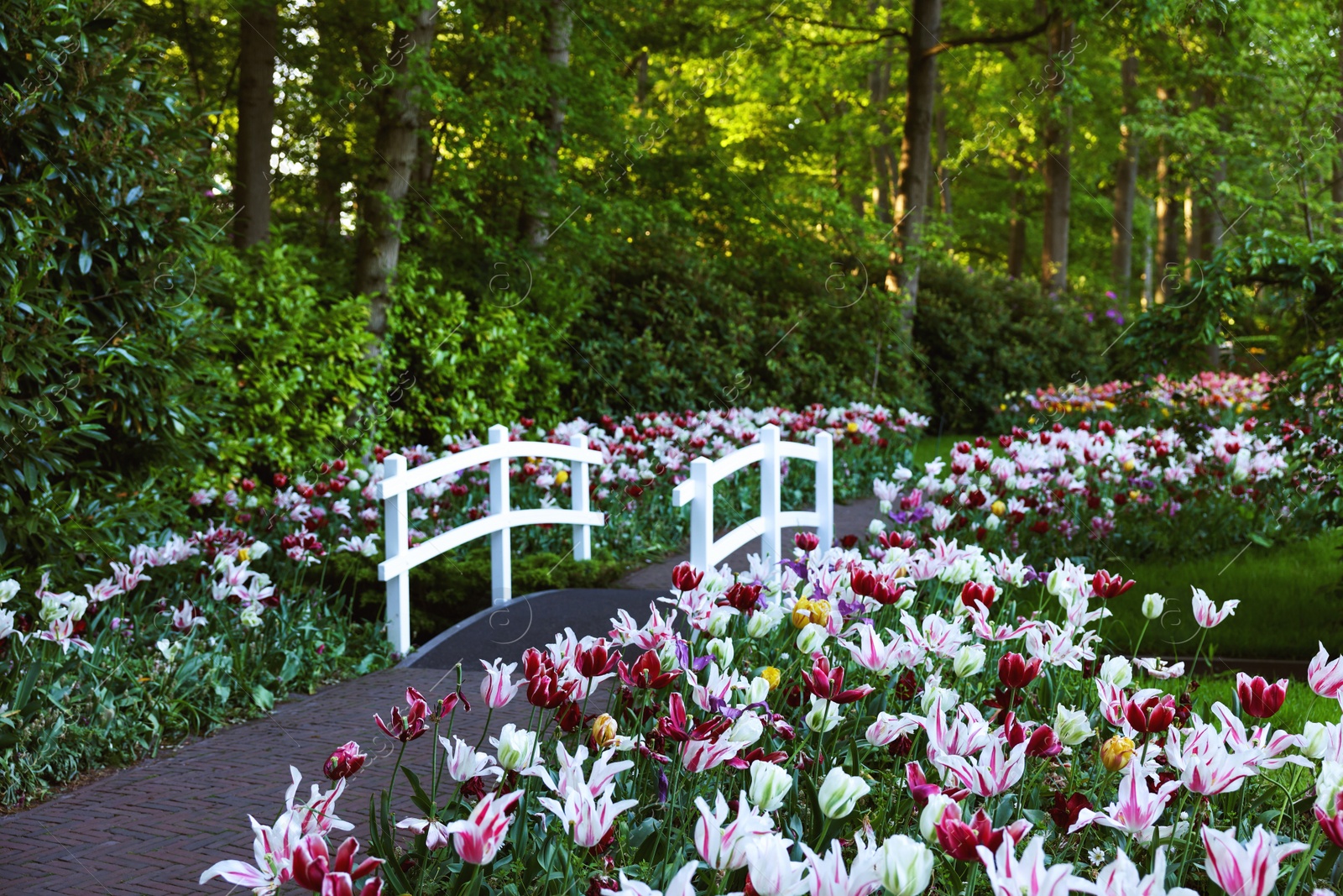 Photo of Park with beautiful flowers and bridge over canal. Spring season