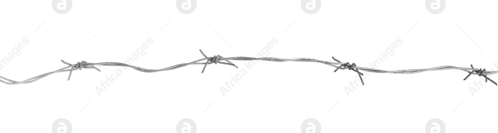 Photo of Shiny metal barbed wire isolated on white