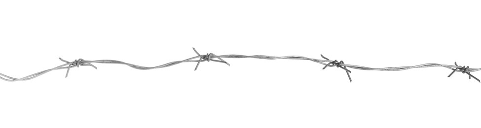 Shiny metal barbed wire isolated on white