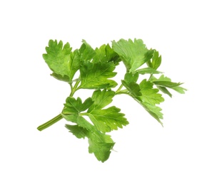 Photo of Leaves of fresh tasty parsley on white background