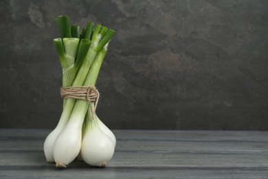 Photo of Bunch of green spring onions on grey wooden table. Space for text