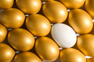Photo of Ordinary chicken egg among golden ones on white background, top view