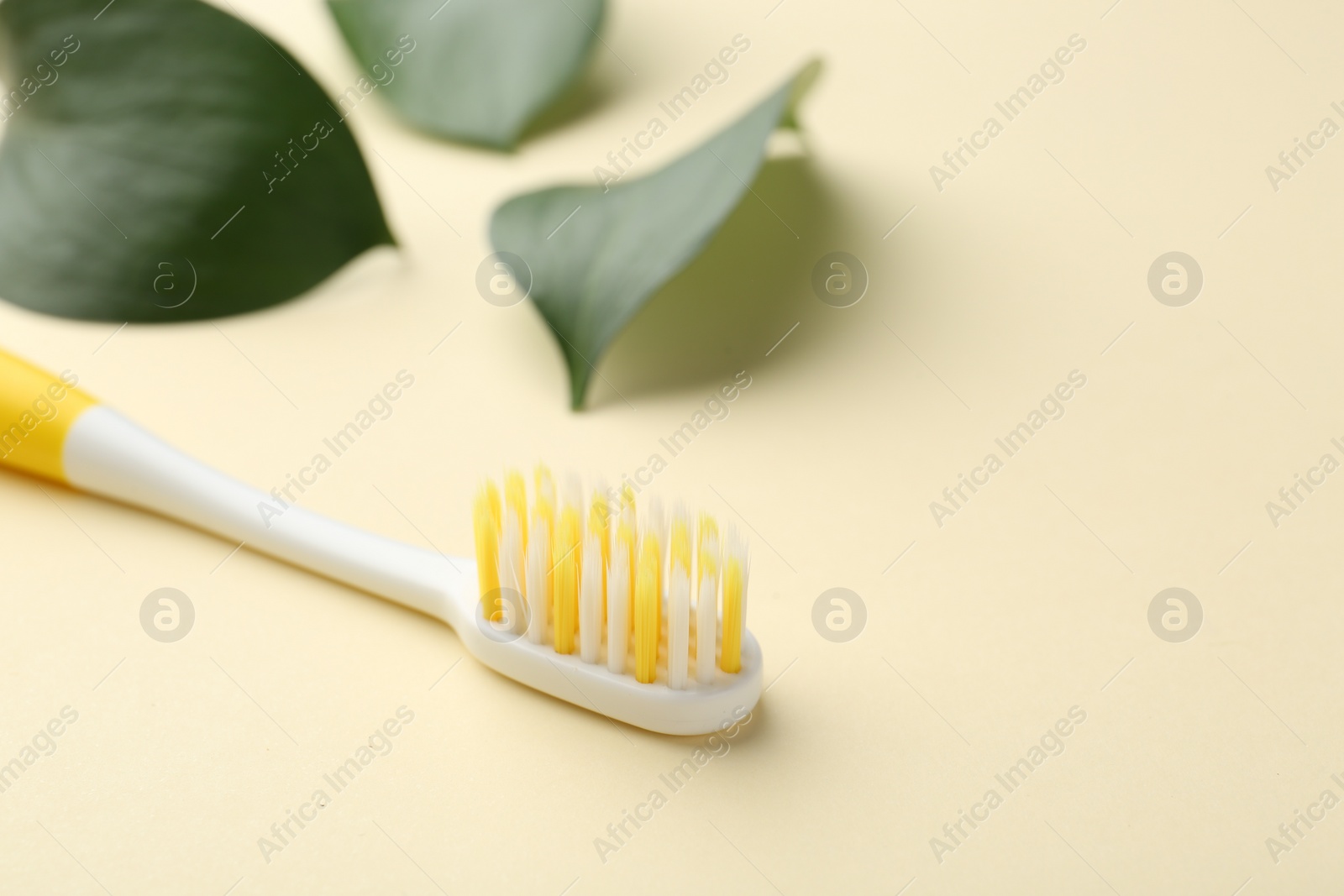 Photo of Plastic toothbrush and green leaves on pale yellow background, closeup. Space for text