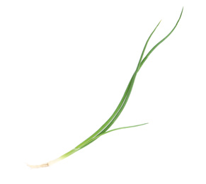 Photo of Fresh green spring onion isolated on white