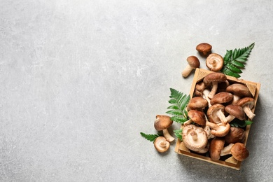 Photo of Fresh shiitake mushrooms on light table, flat lay. Space for text