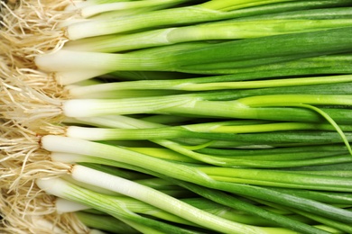 Photo of Fresh green onions as background, top view