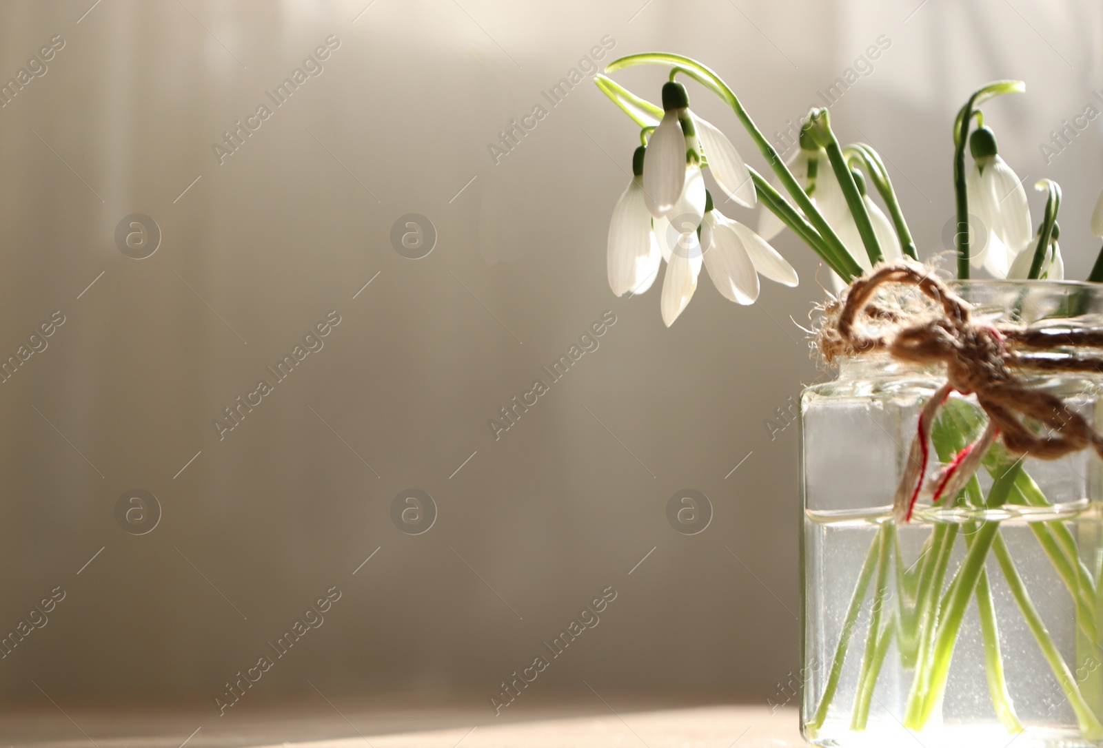 Photo of Beautiful snowdrops in glass jar indoors, space for text. First spring flowers