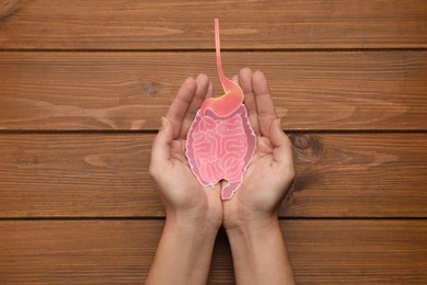Woman holding paper cutout of small intestine on wooden background, top view