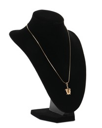 Photo of Stylish golden necklace on jewelry bust against white background