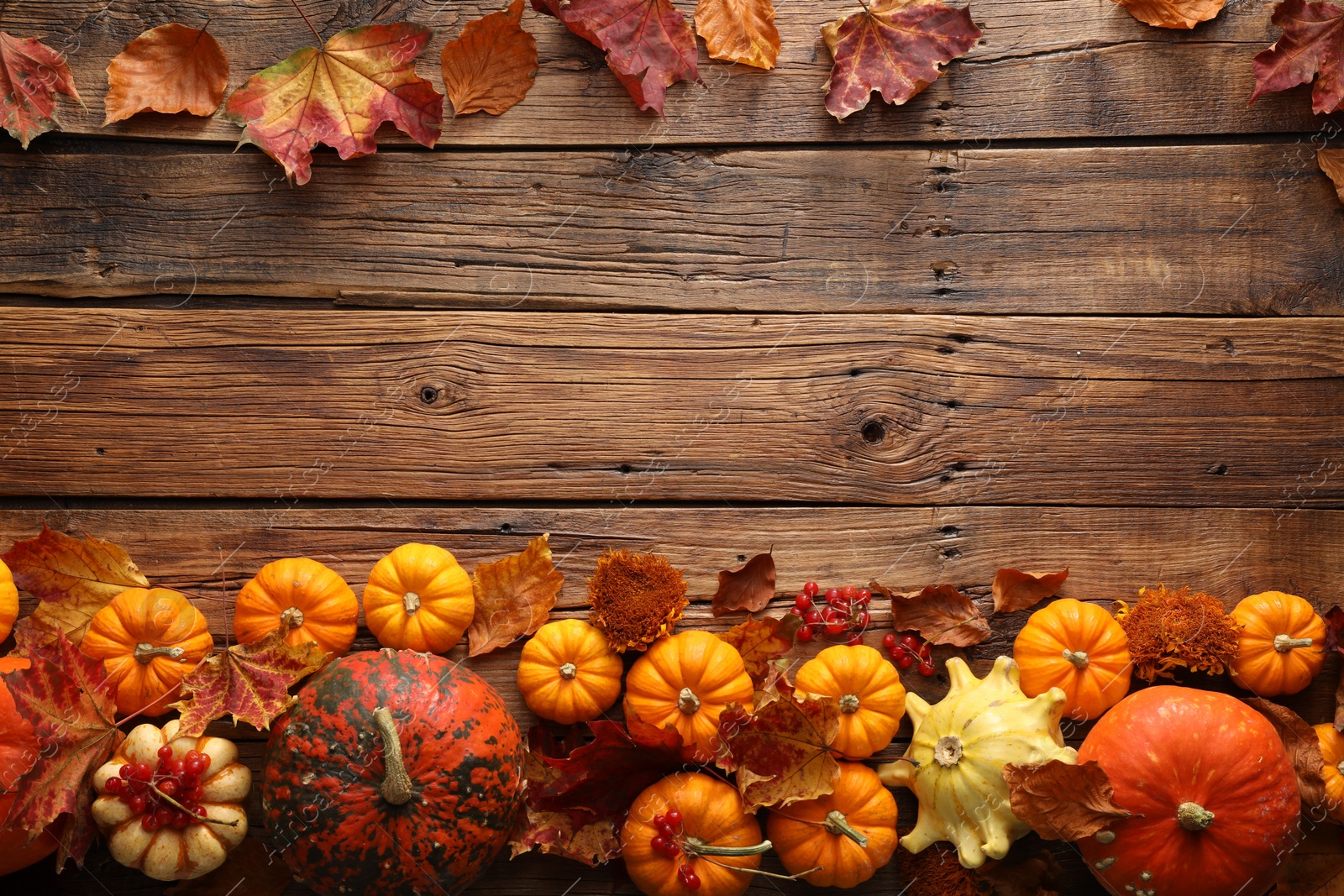 Photo of Dry autumn leaves and pumpkins on wooden table, flat lay. Space for text