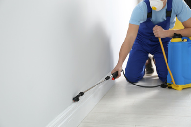 Photo of Pest control worker spraying pesticide in room. Space for text