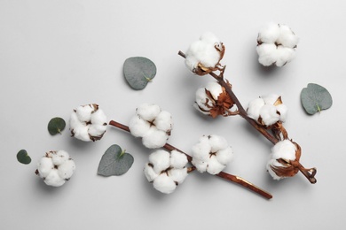 Flat lay composition with cotton flowers on light grey background