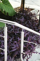 Metal handrail and plants growing outdoors. Exterior design
