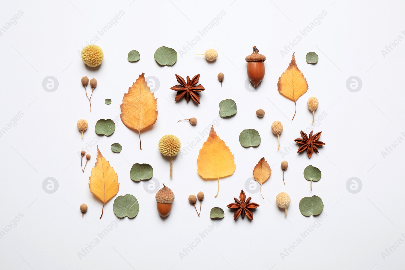 Photo of Flat lay composition with autumn leaves on white background