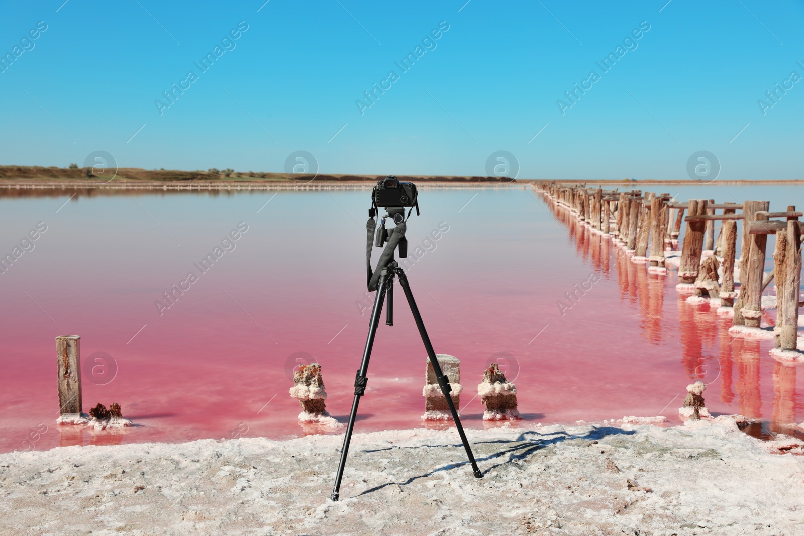 Photo of Professional camera with tripod near pink lake