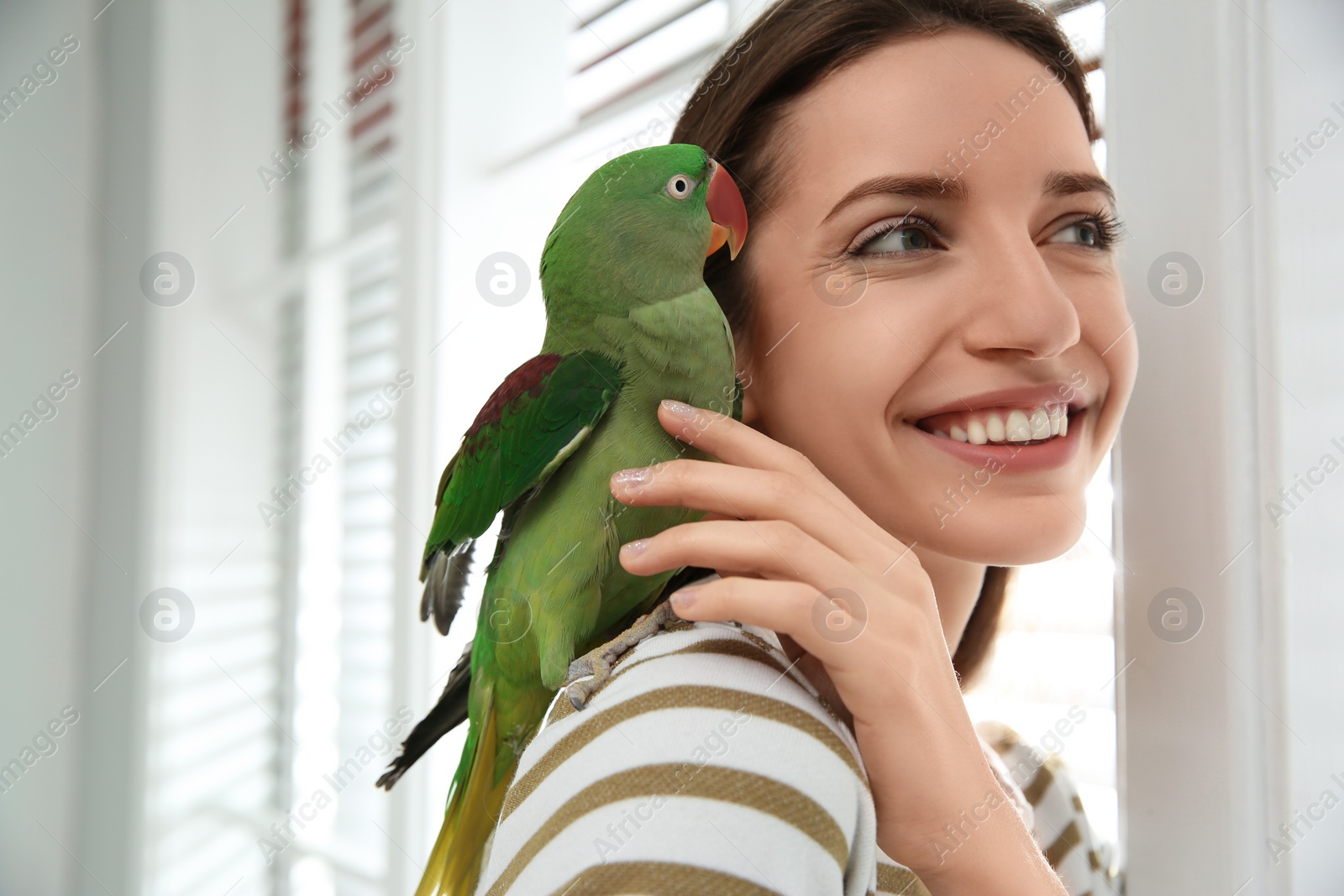 Photo of Young woman with cute Alexandrine parakeet indoors