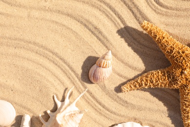 Seashells and starfish on beach sand with wave pattern, flat lay. Space for text