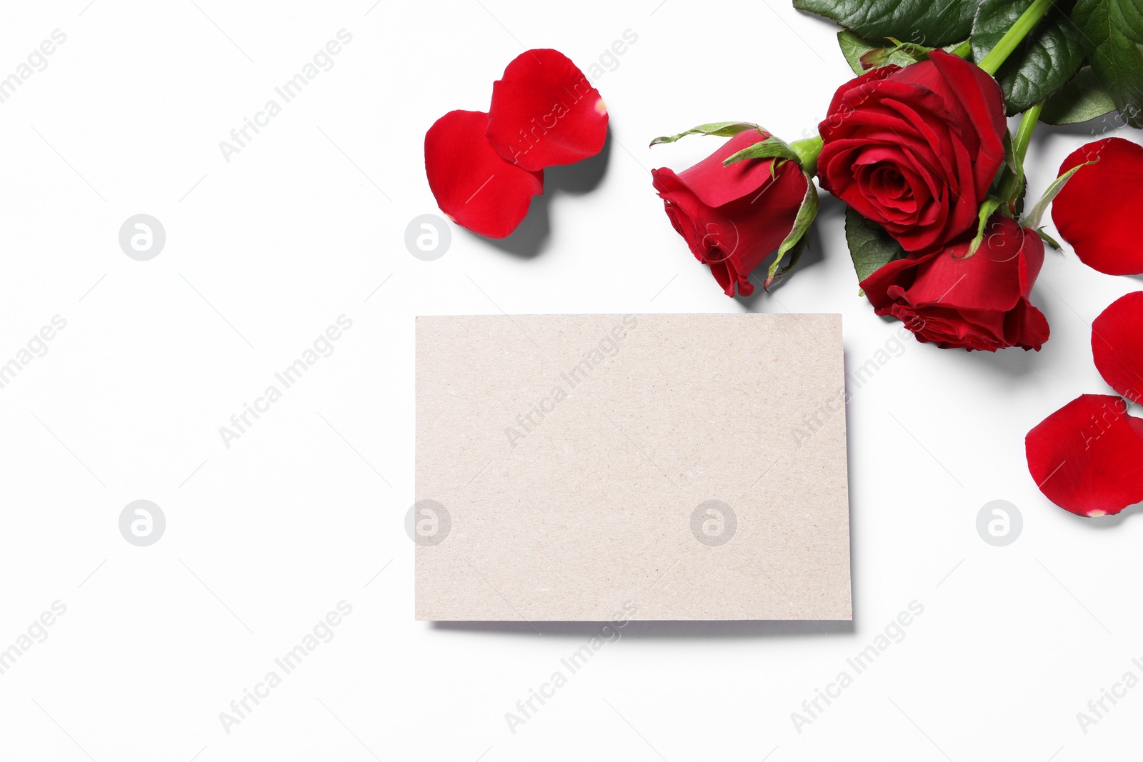 Blank card, beautiful red roses and petals on white background, flat lay. Space for text Photo of Blank card, beautiful red roses and petals on white background, flat lay. Space for text