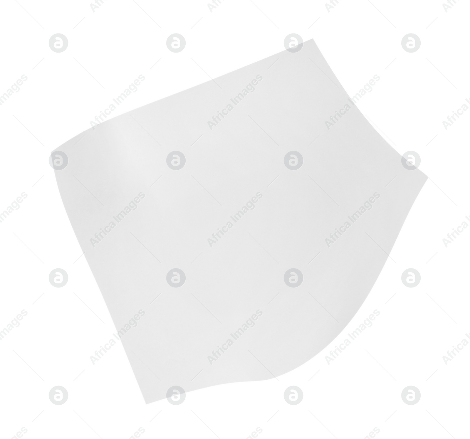 Photo of One sheet of paper isolated on white