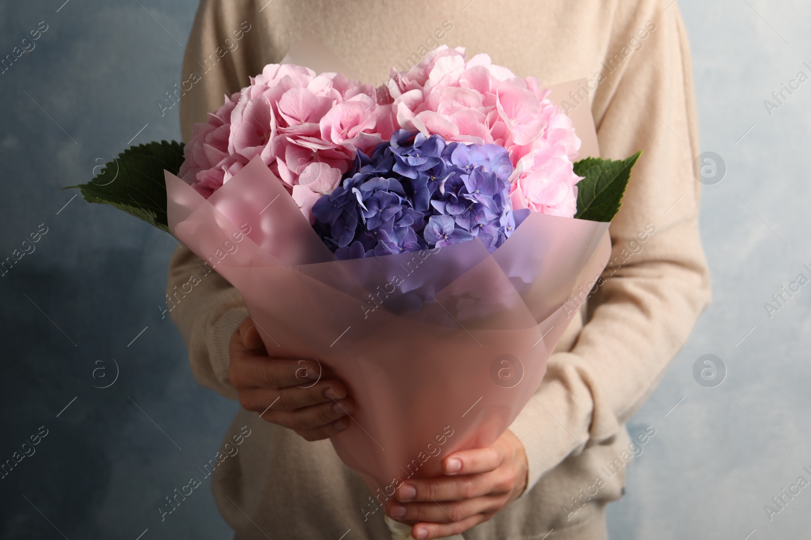 Photo of Woman with bouquet of beautiful hortensia flowers on color background, closeup