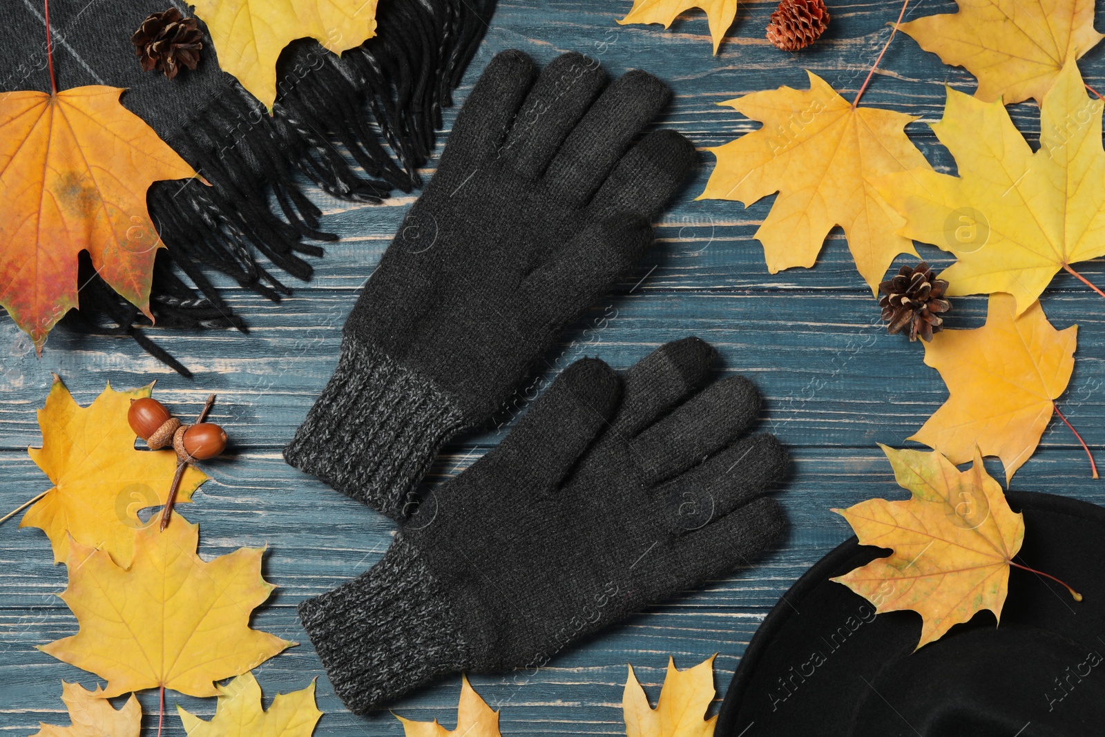 Photo of Flat lay composition with stylish woolen gloves and autumn decor on blue wooden table