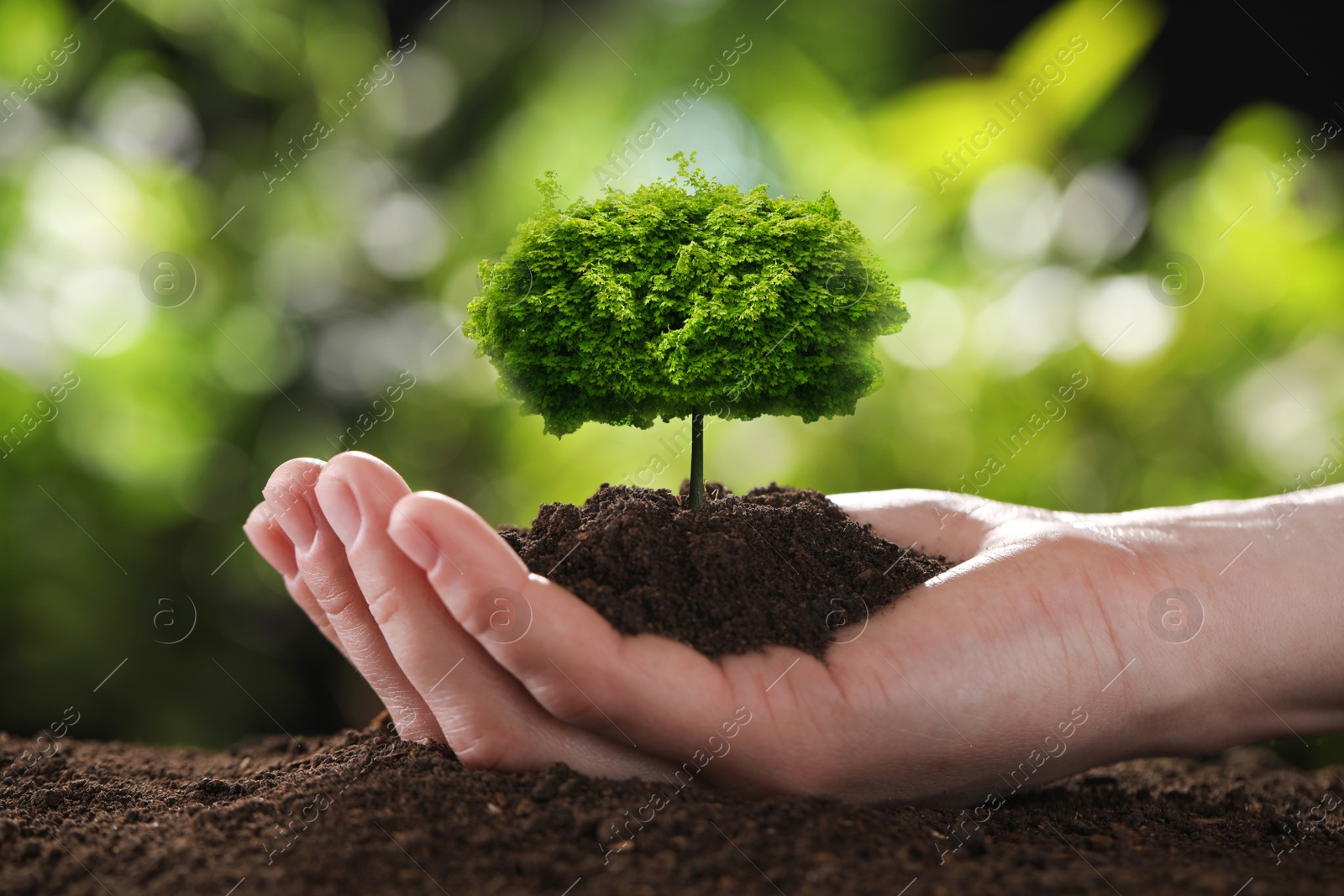 Image of Woman holding pile of soil with small tree on blurred green background, closeup. Eco friendly lifestyle 