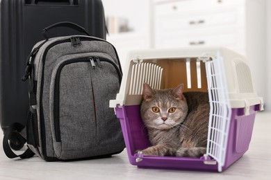 Photo of Travel with pet. Cute cat in carrier, backpack and suitcase indoors