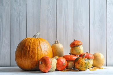 Different pumpkins on table against wooden wall. Autumn holidays